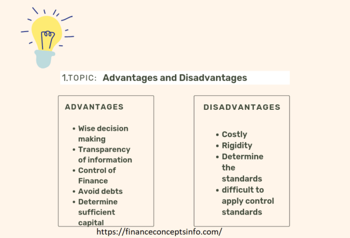 Advantages disadvantages