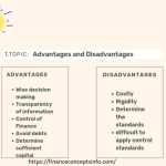 Advantages disadvantages